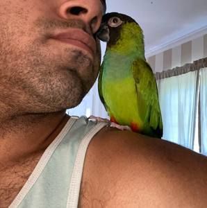 Meet your Posher, Cj